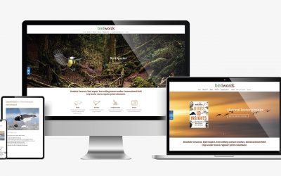 Birdwords Website